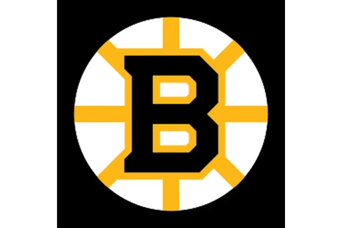 Image of Boston Bruins