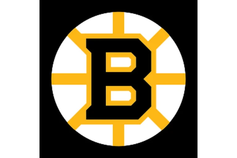 Image of Boston Bruins
