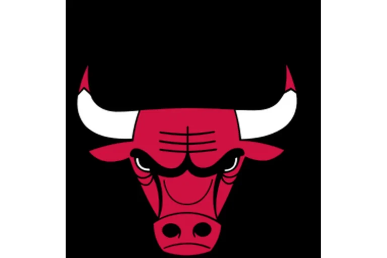 Image of Chicago Bulls